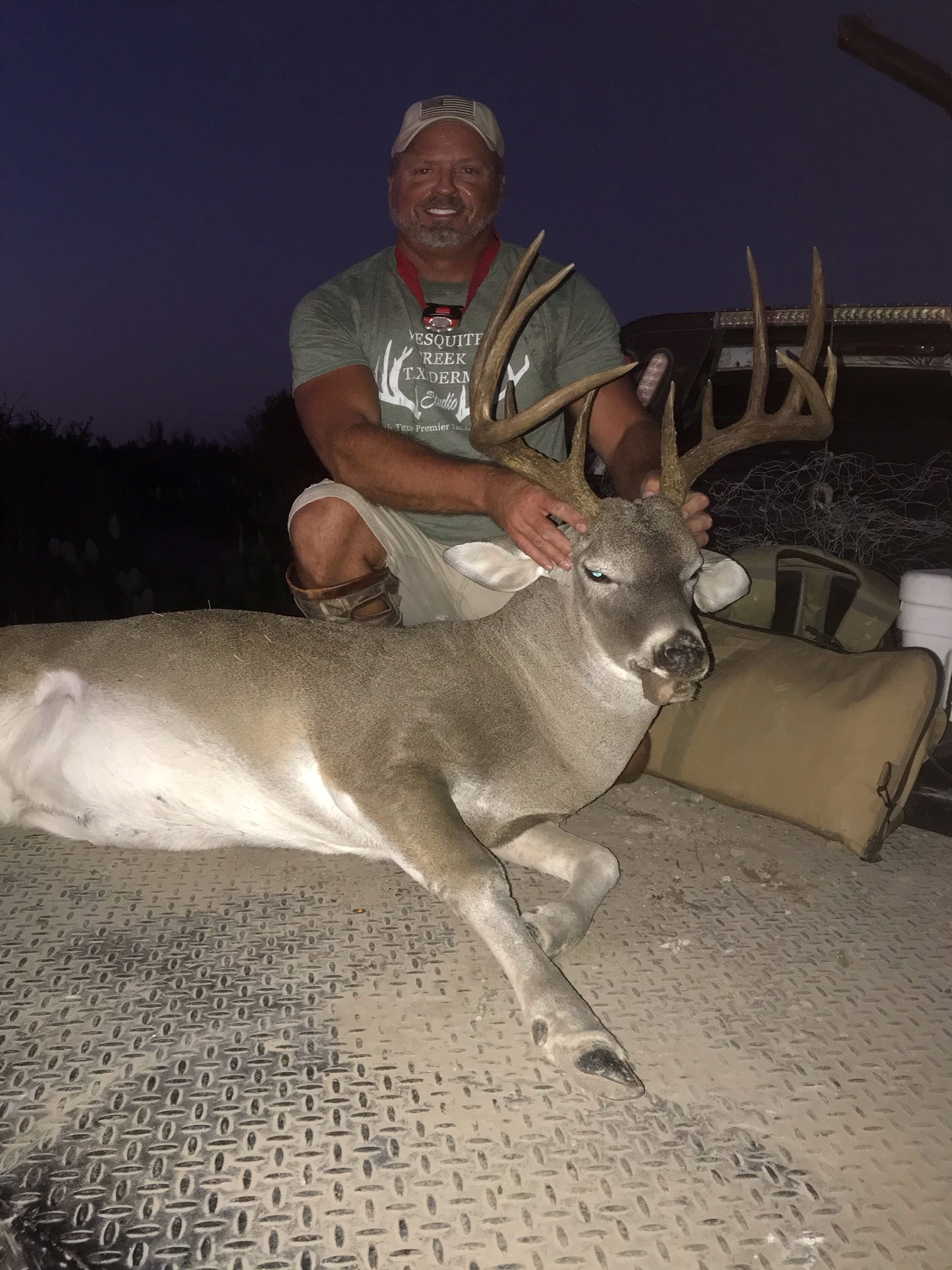 Deer 2020.jpg