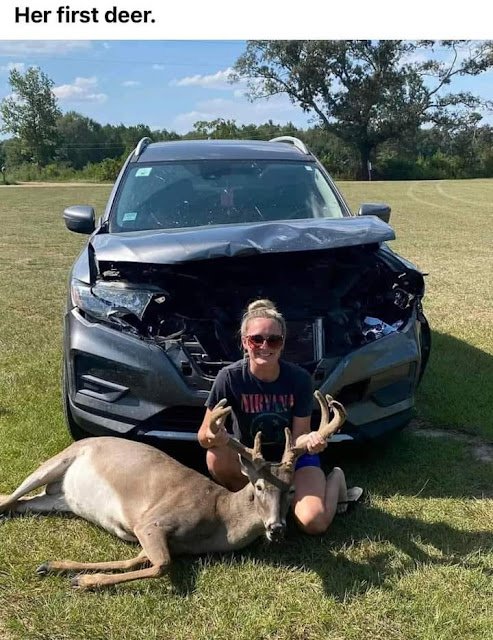 deer.jpeg.fe9751f398155badb1ff9447f6c46cc1.jpeg