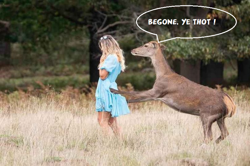 deer.png