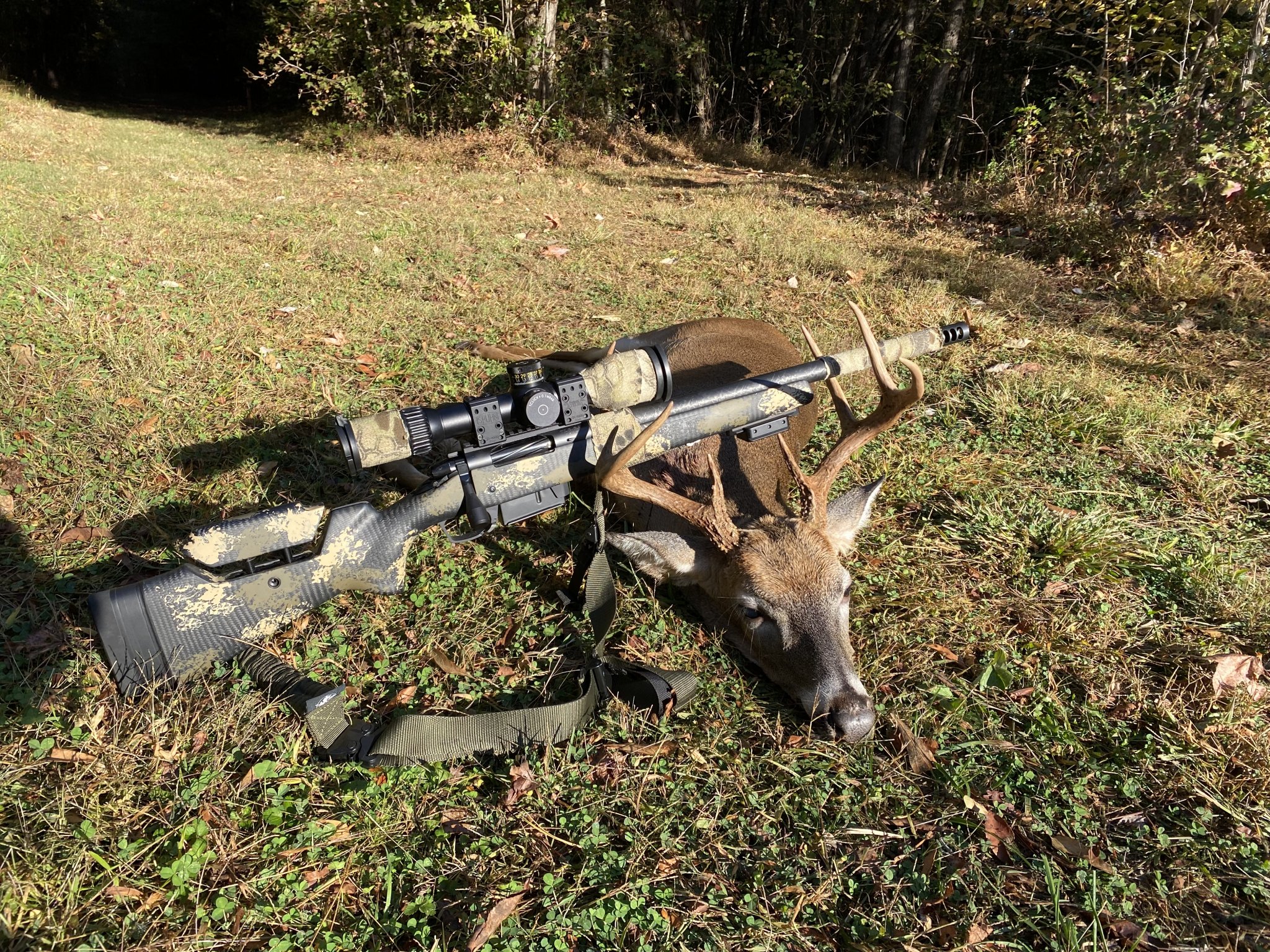 Deer2.jpg