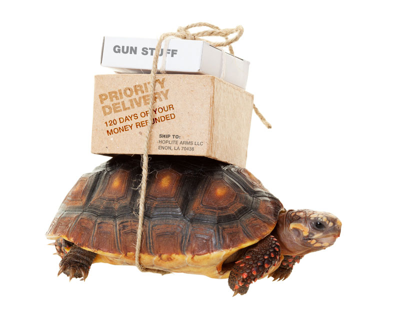 delivery.jpg