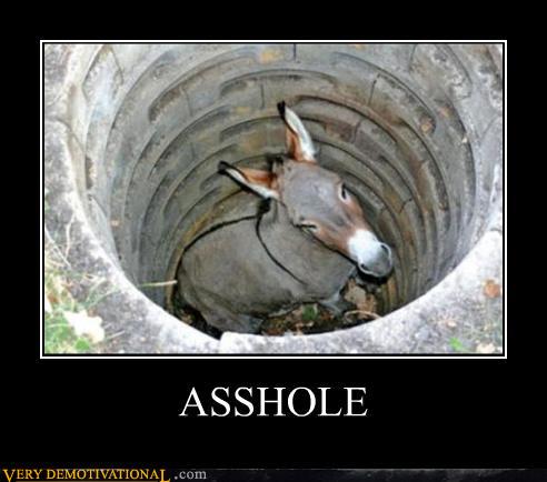 demotivational-posters-asshole.jpg