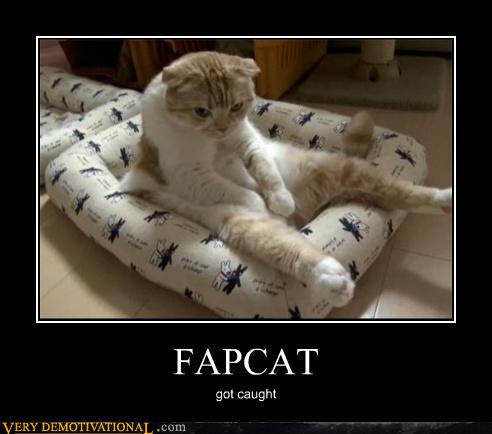 demotivational-posters-fapcat.jpg