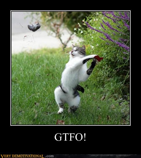demotivational-posters-gtfo.jpg