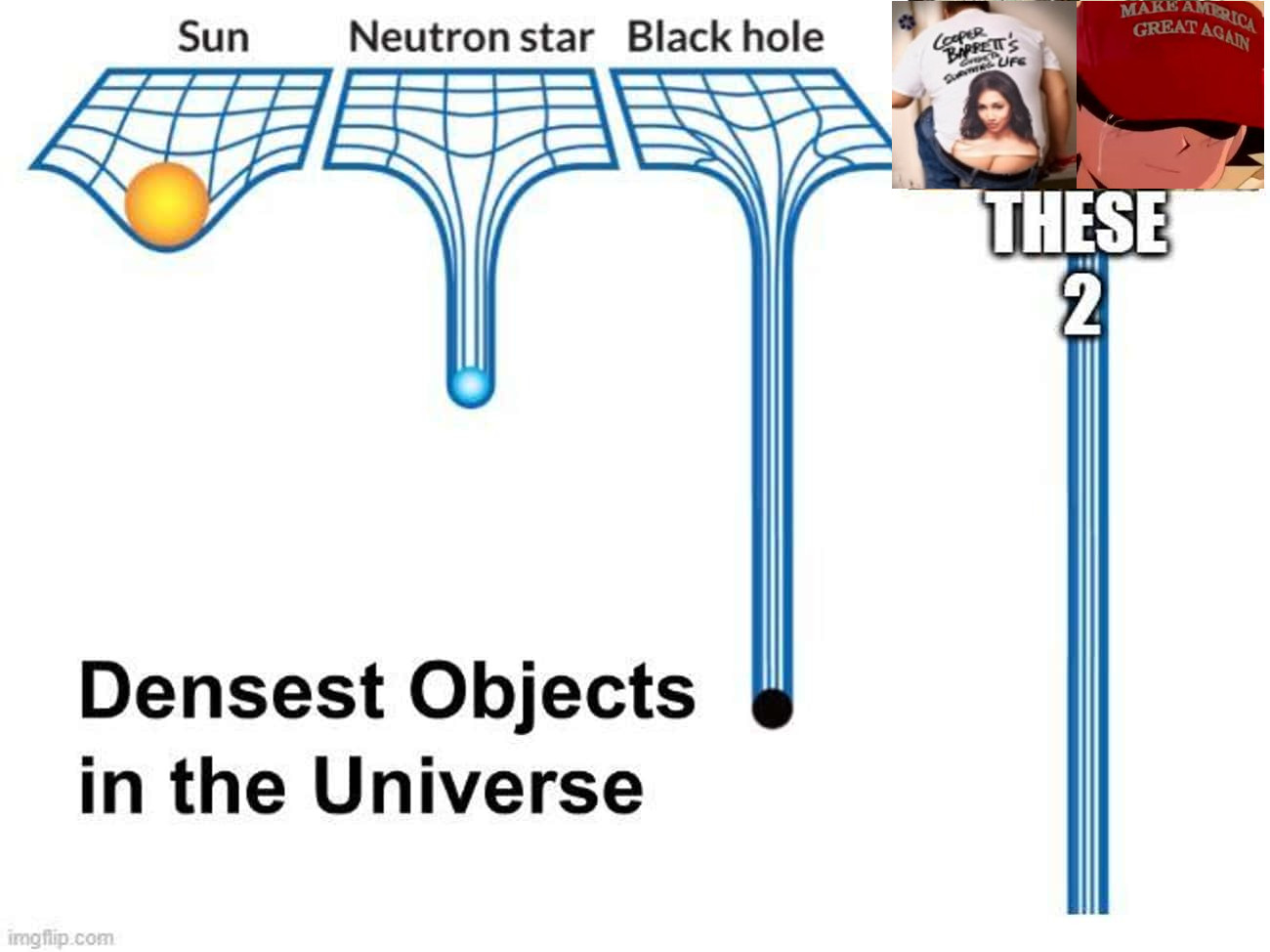 DenseSnipe.jpeg