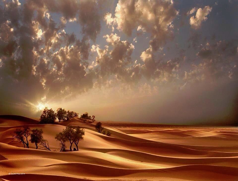 desert.jpg