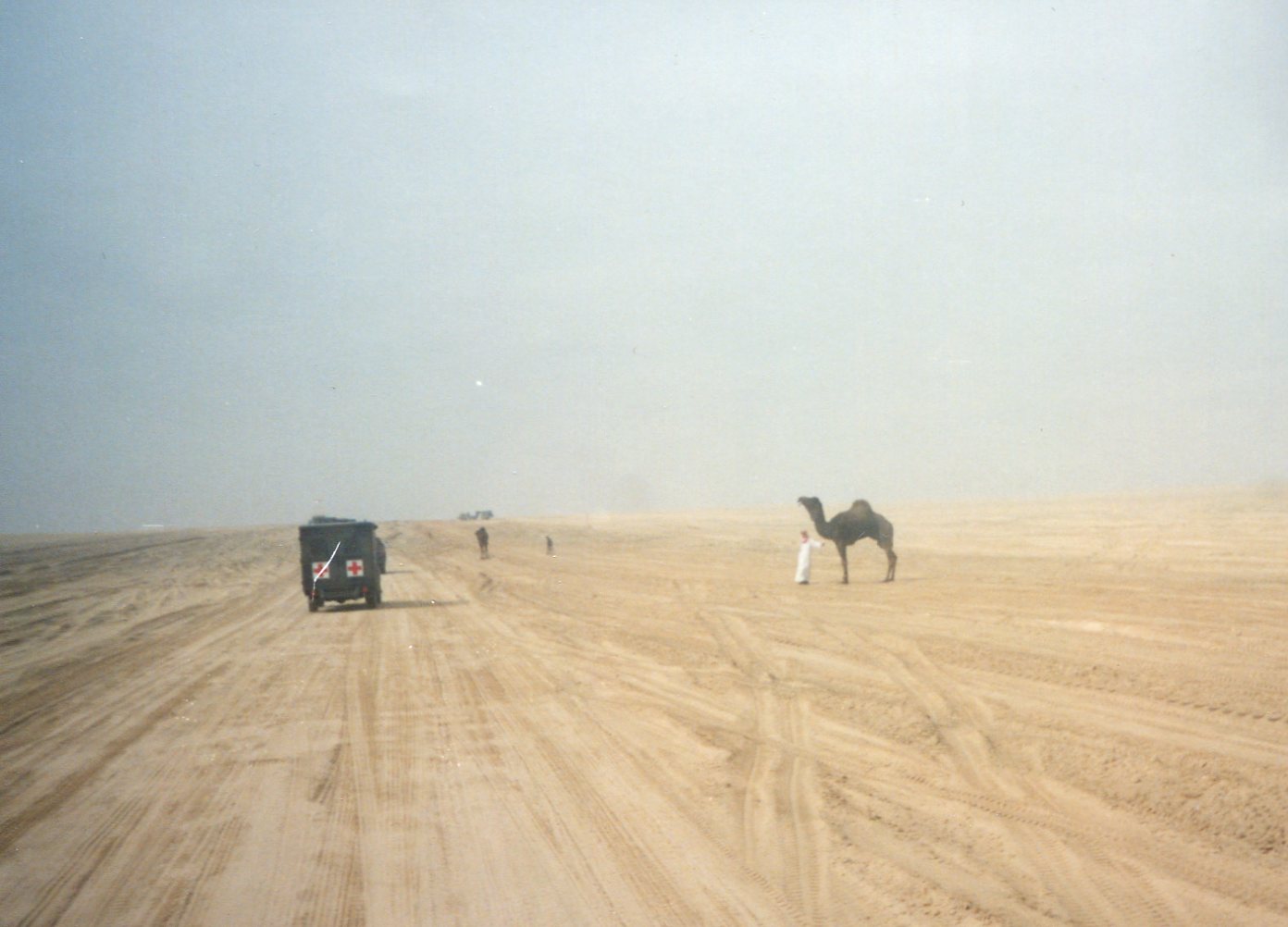 Desert StormShield005.jpg