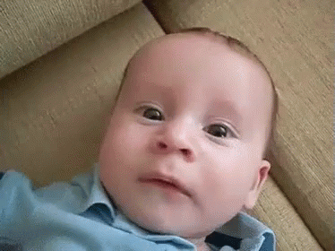 DF07DB5D-F9A0-4A52-8A0E-DD3C456037A5.gif