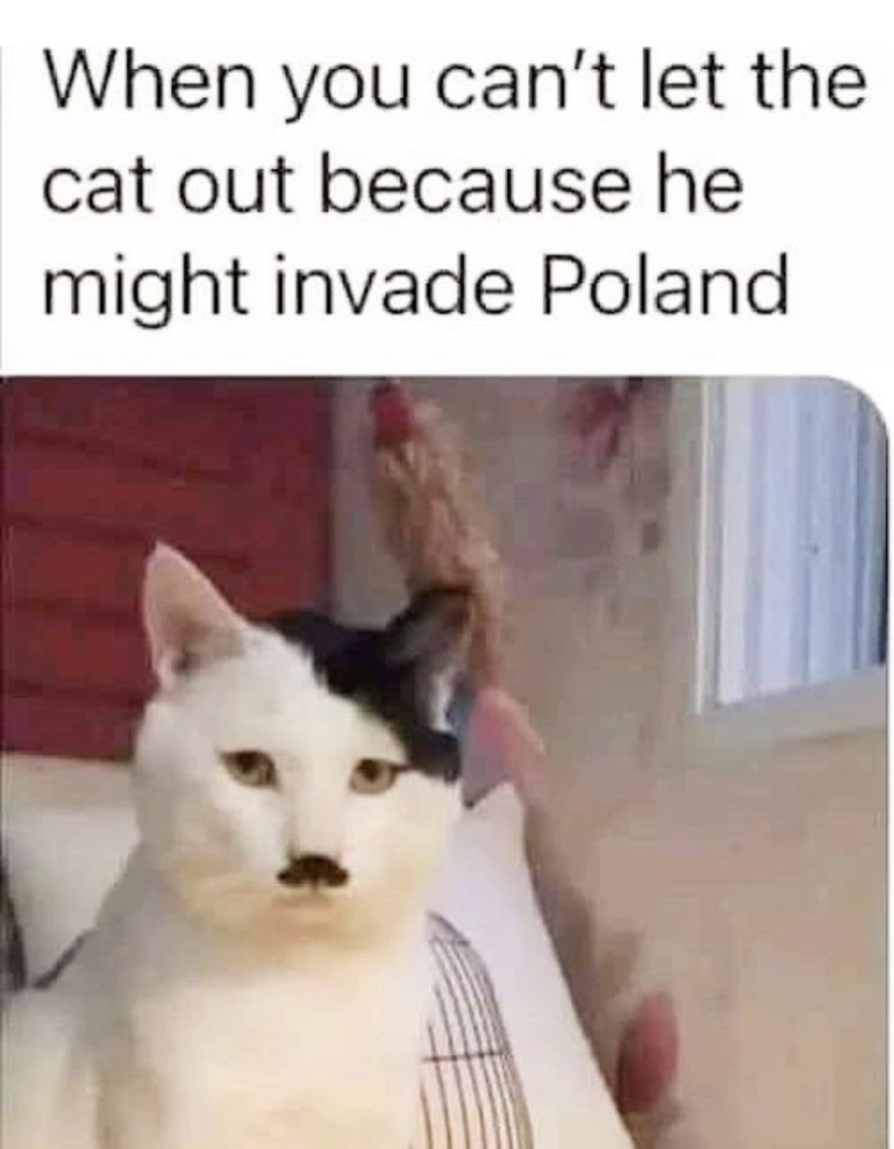 DF35D079-E66D-42D8-8CB5-6DA3DF90E454.jpeg