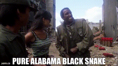 DF69F5E2-E32E-46A7-BFB7-D67B37546887.gif