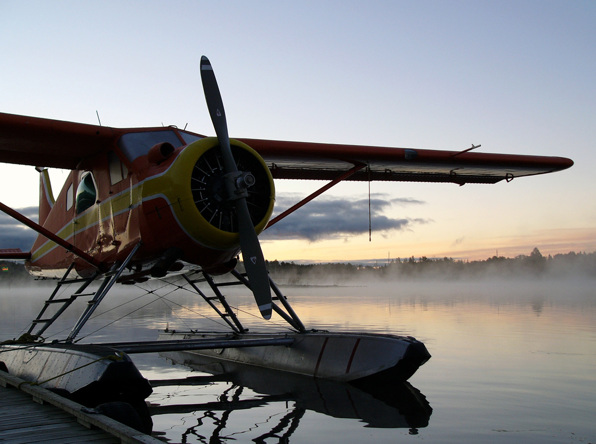 DHC 2 Beaver .jpg
