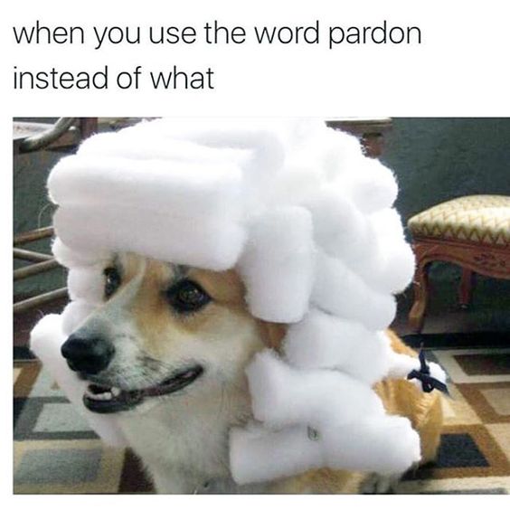 DhMU6vuWkAACW6p.jpg