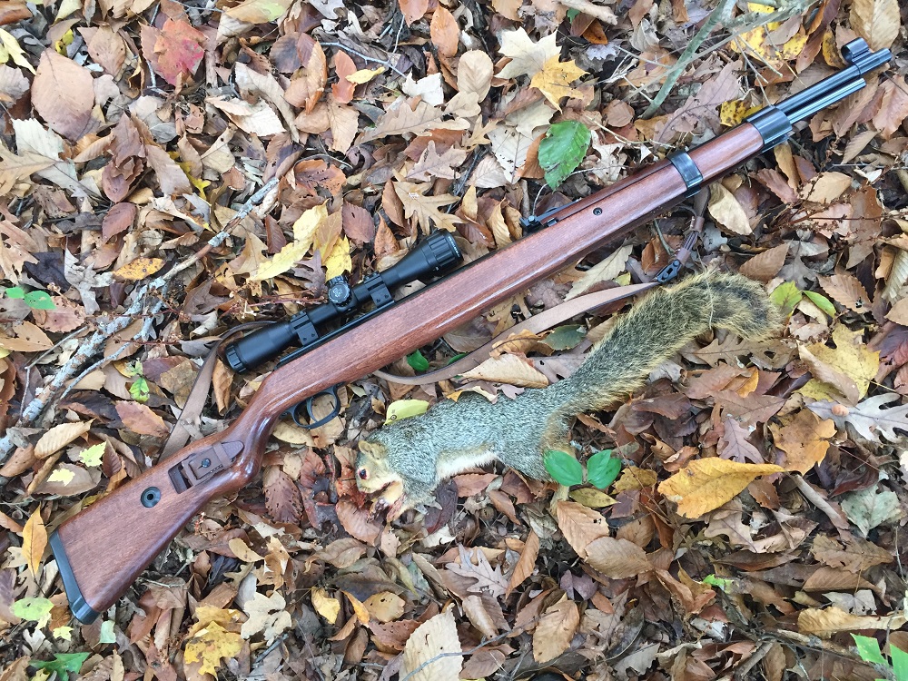 Diana K98 and Squirrel.jpg