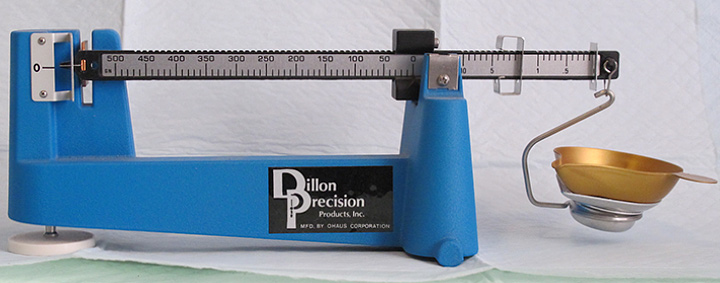 DillonScale_0811.jpg