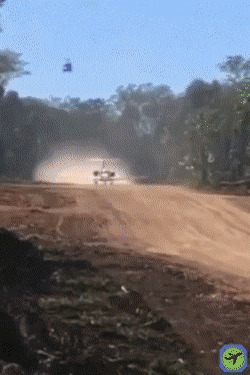 dirtstrip.gif