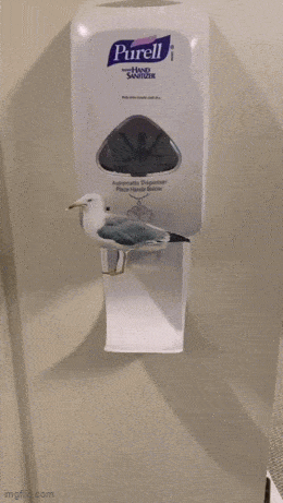 dirty_mind_come_here_38.gif