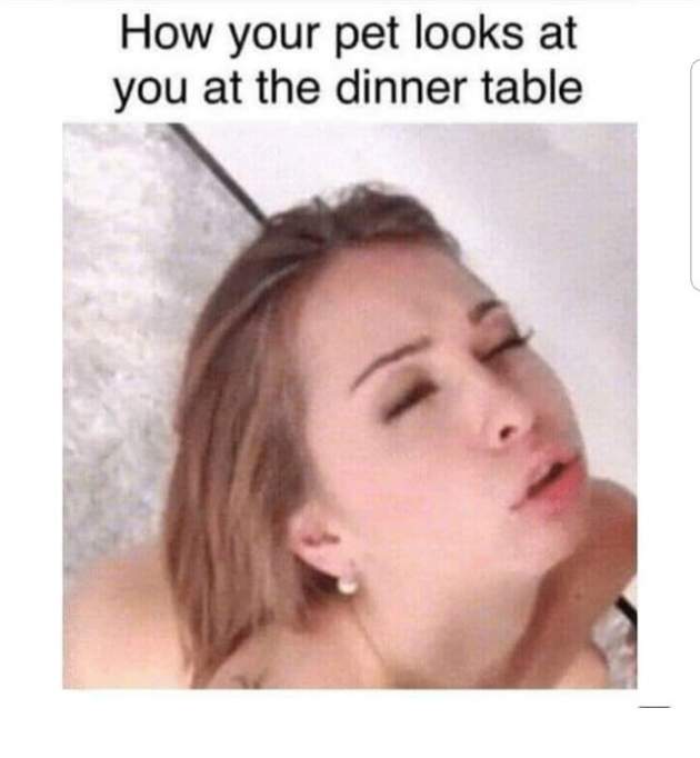 dirtymemes3.jpg
