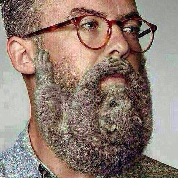 Disturbing-Beard.jpg.33491925a81dde163c8077012e82cb3e.jpg