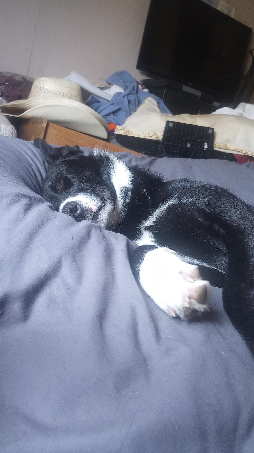 Django nap 1.jpg