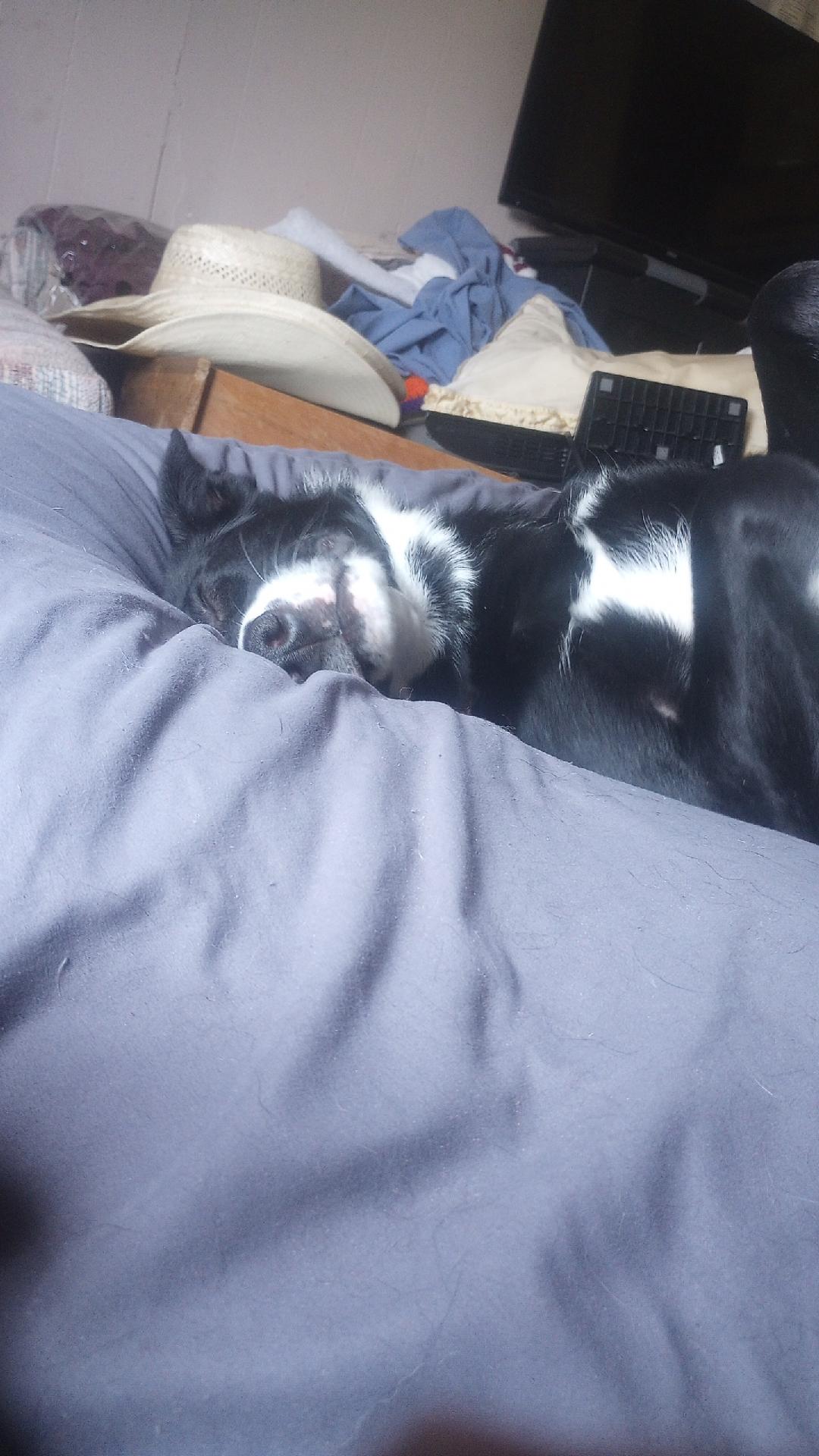 Django nap 2.jpg