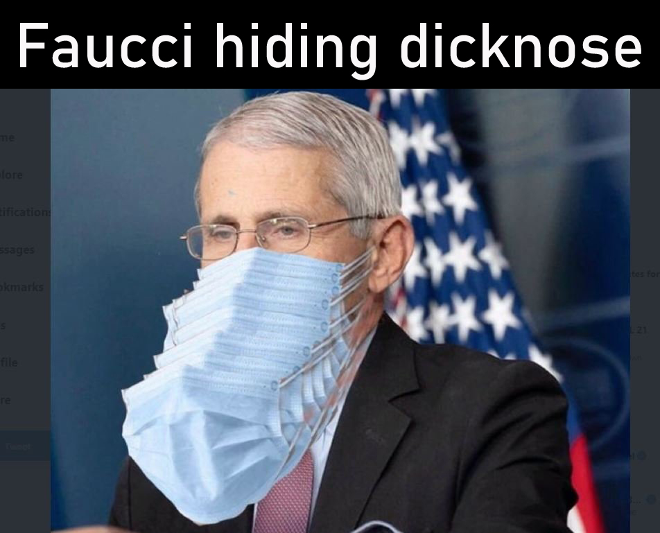 Dnose.jpg