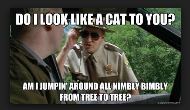do-i-look-like-a-cat-to-you-super-troopers-meme.png