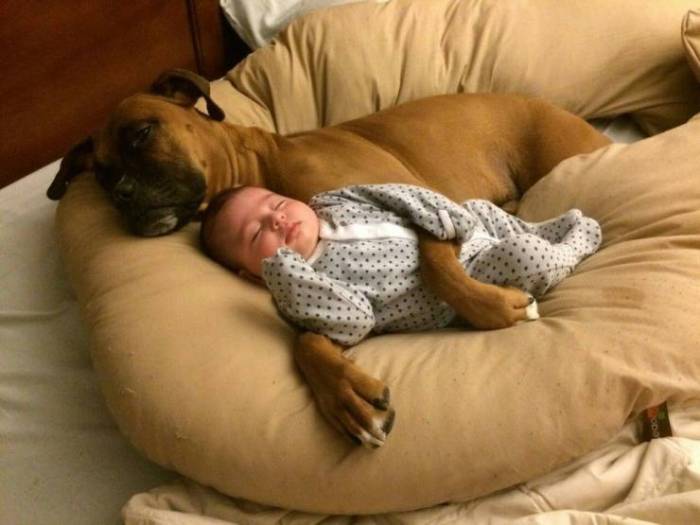 dog baby.jpeg
