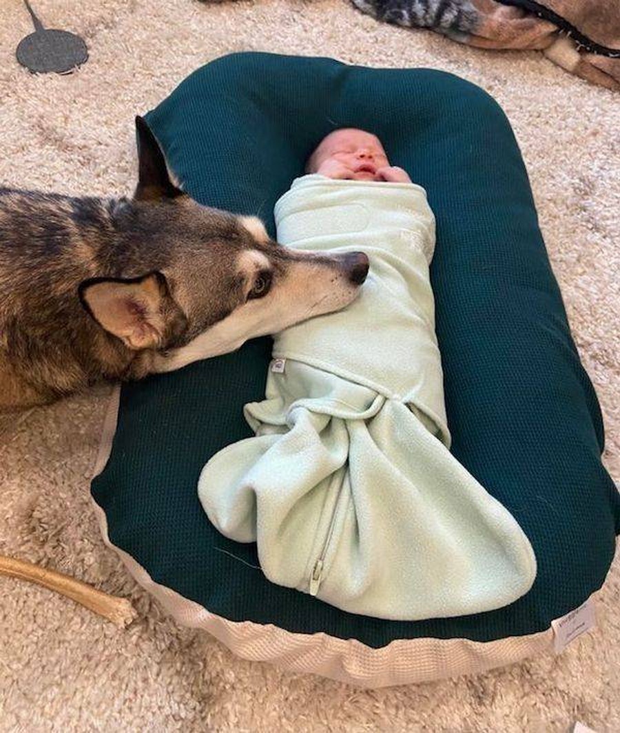 dog baby.jpeg