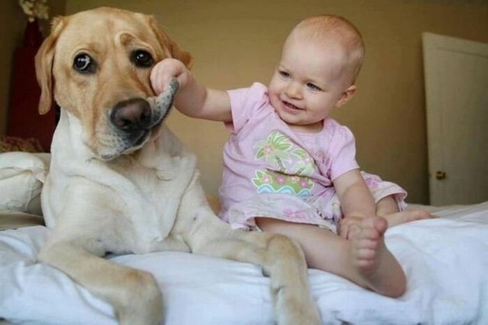 dog baby.jpeg