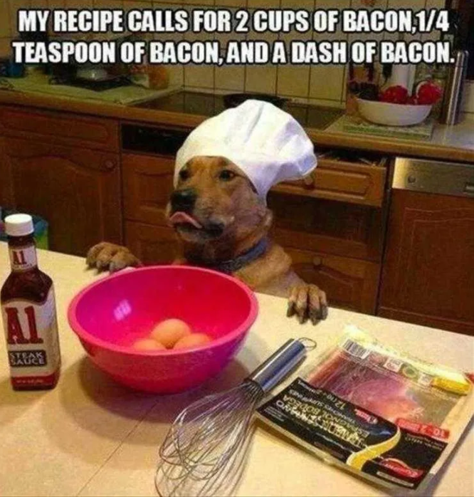 dog bacon chef.png