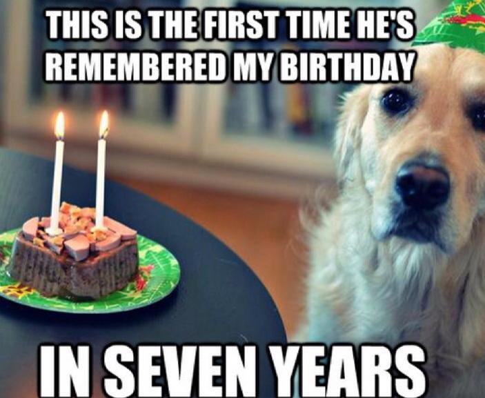dog birthday.jpeg