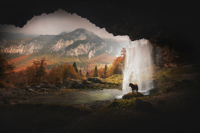 dog cave.jpg