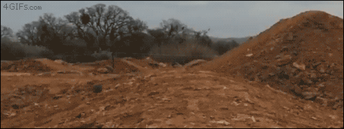 dog.gif