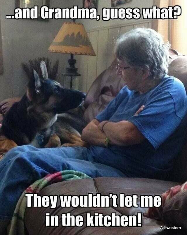 dog grandma.jpeg