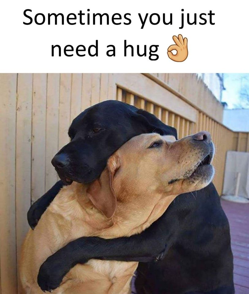 dog hug.png