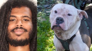 dog.jpg