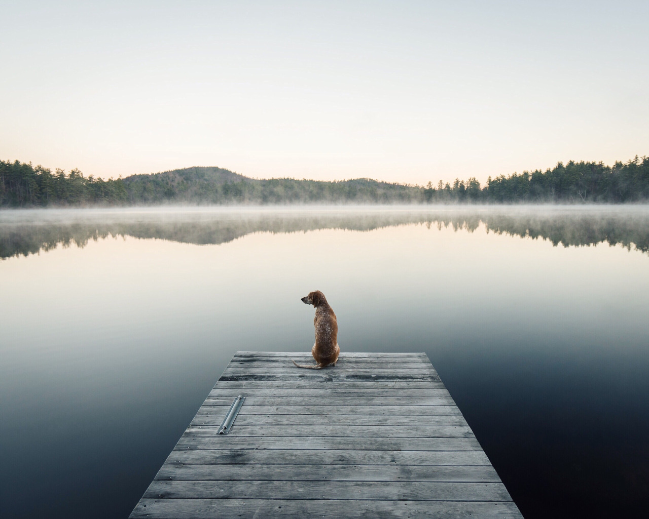 dog lake.jpg