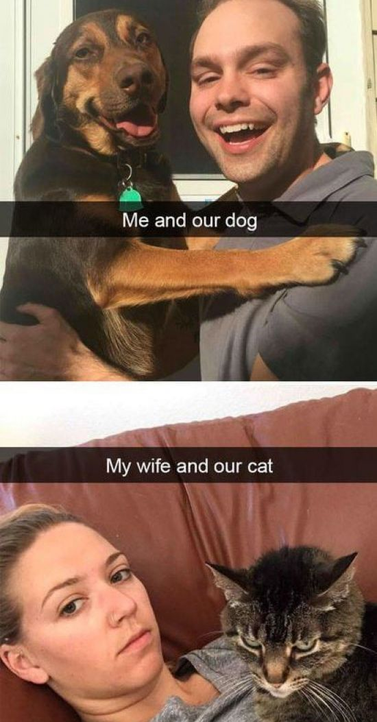 dog people.png