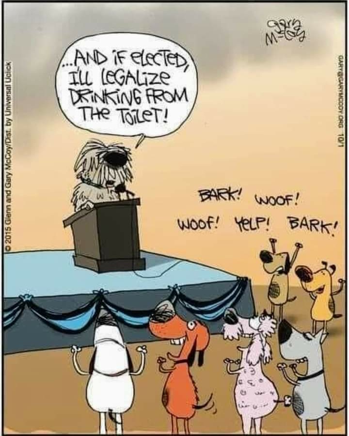dog politics.jpeg