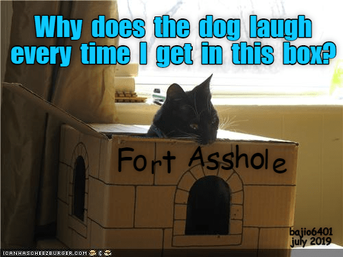dog-practical-jokes.png
