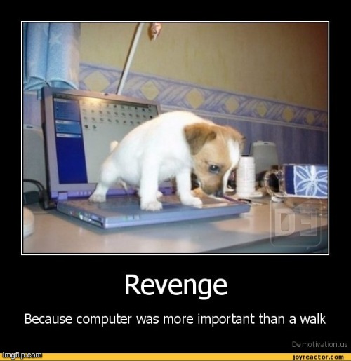 dog revenge.jpeg
