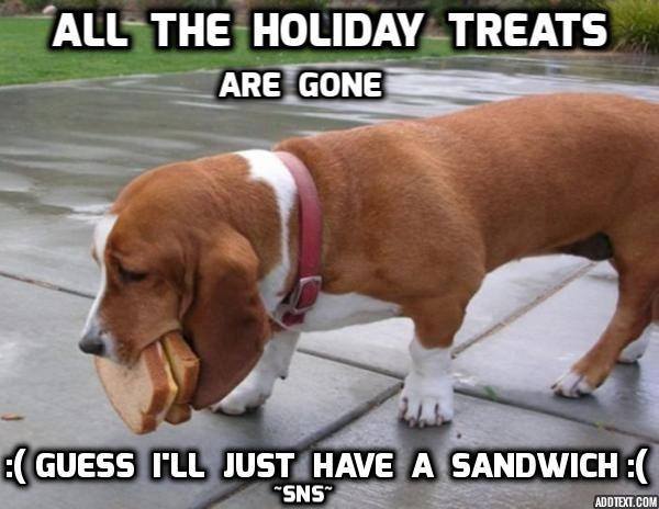 dog sammich.jpg