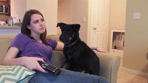dog smack.gif