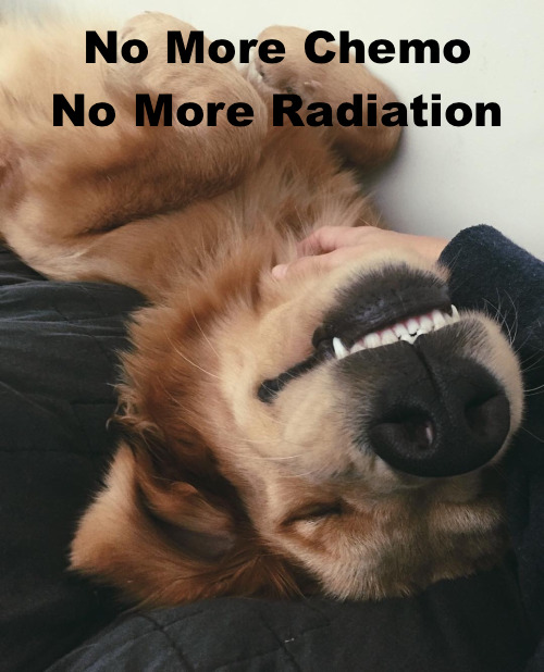 dog smile.jpg