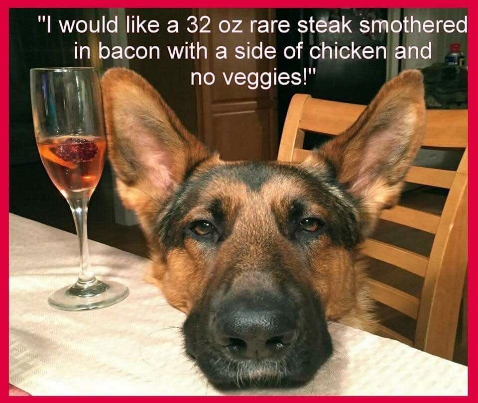 dog steak.jpg