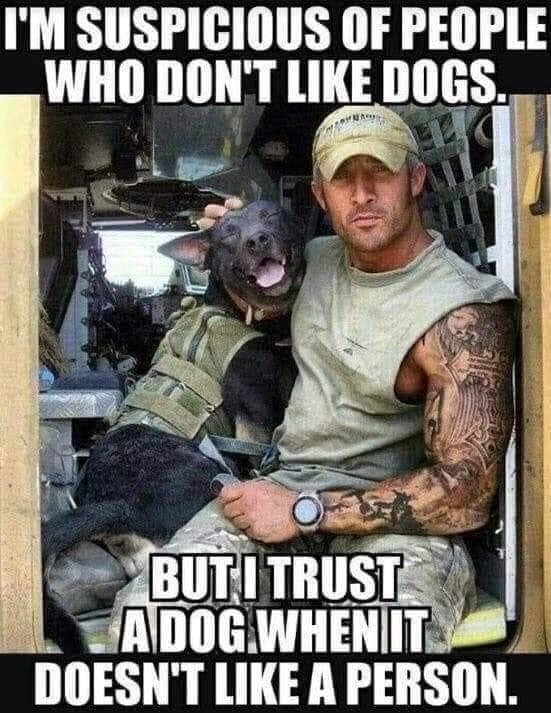 dog trust.jpg