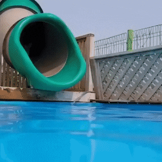 dog water slide.gif