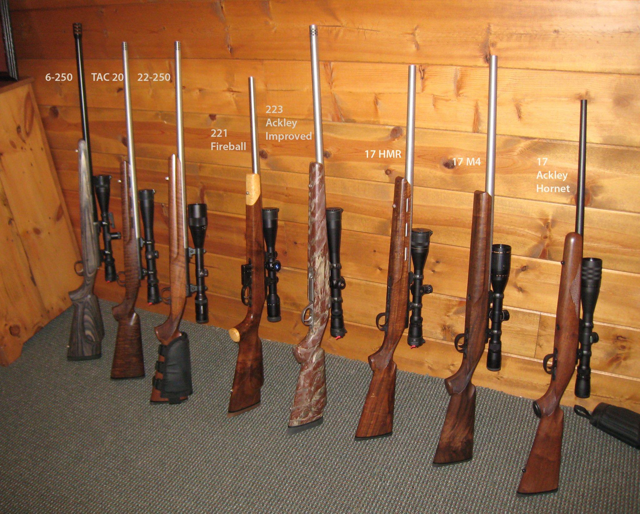Doggin rifles.jpg