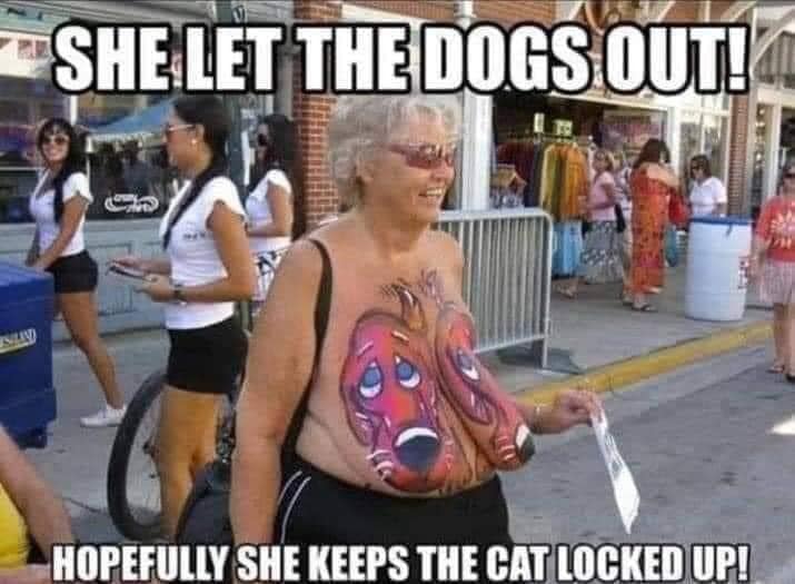 dogs out.jpg