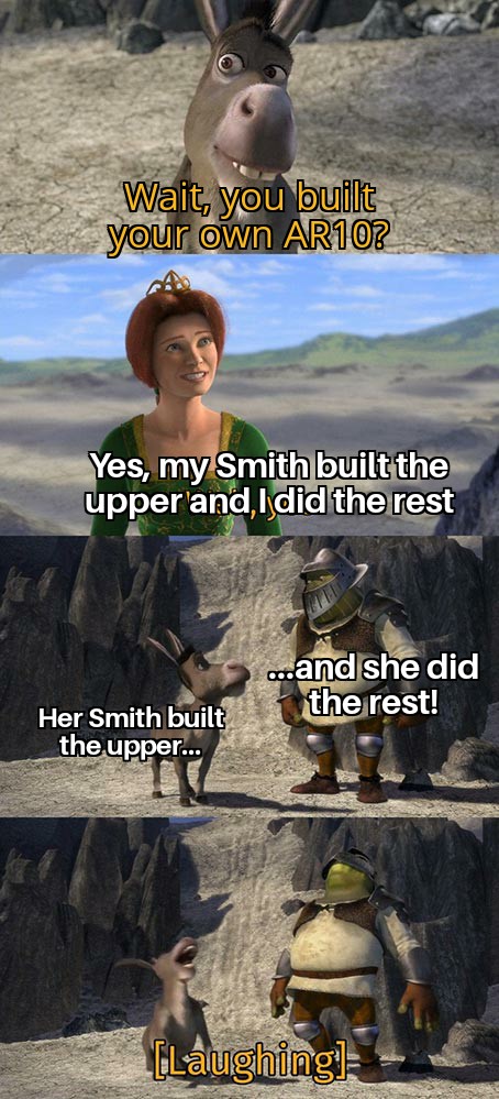 Donkey And Shrek Laugh At Fiona 04012020195650.jpg